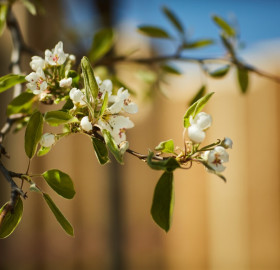 Plant-based building materials - a solution to climate crisis