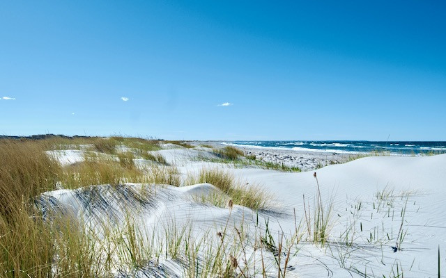 Sand dunes on Island of Læsø, Denmark, photo by Torsten Grieger/Shutterstock.com