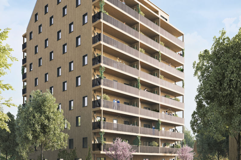 How EcoCocon Straw Wall Panels Redefine Building at Every Size
