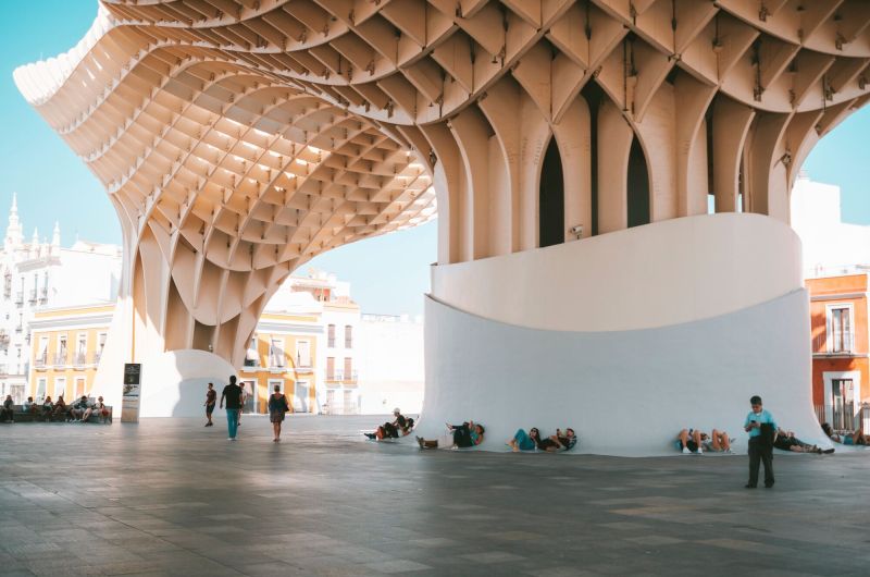 The wood paradox: Why going all-in on timber may not be the key to sustainable construction