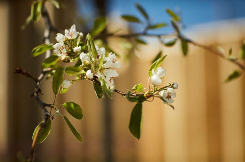 Plant-based building materials - a solution to climate crisis